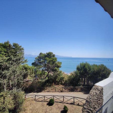 Loft A Sant Marti D'Empuries Leilighet Eksteriør bilde