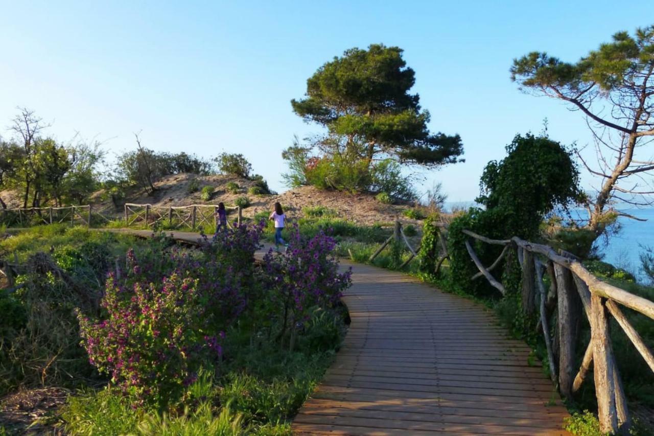 Loft A Sant Marti D'Empuries Leilighet Eksteriør bilde